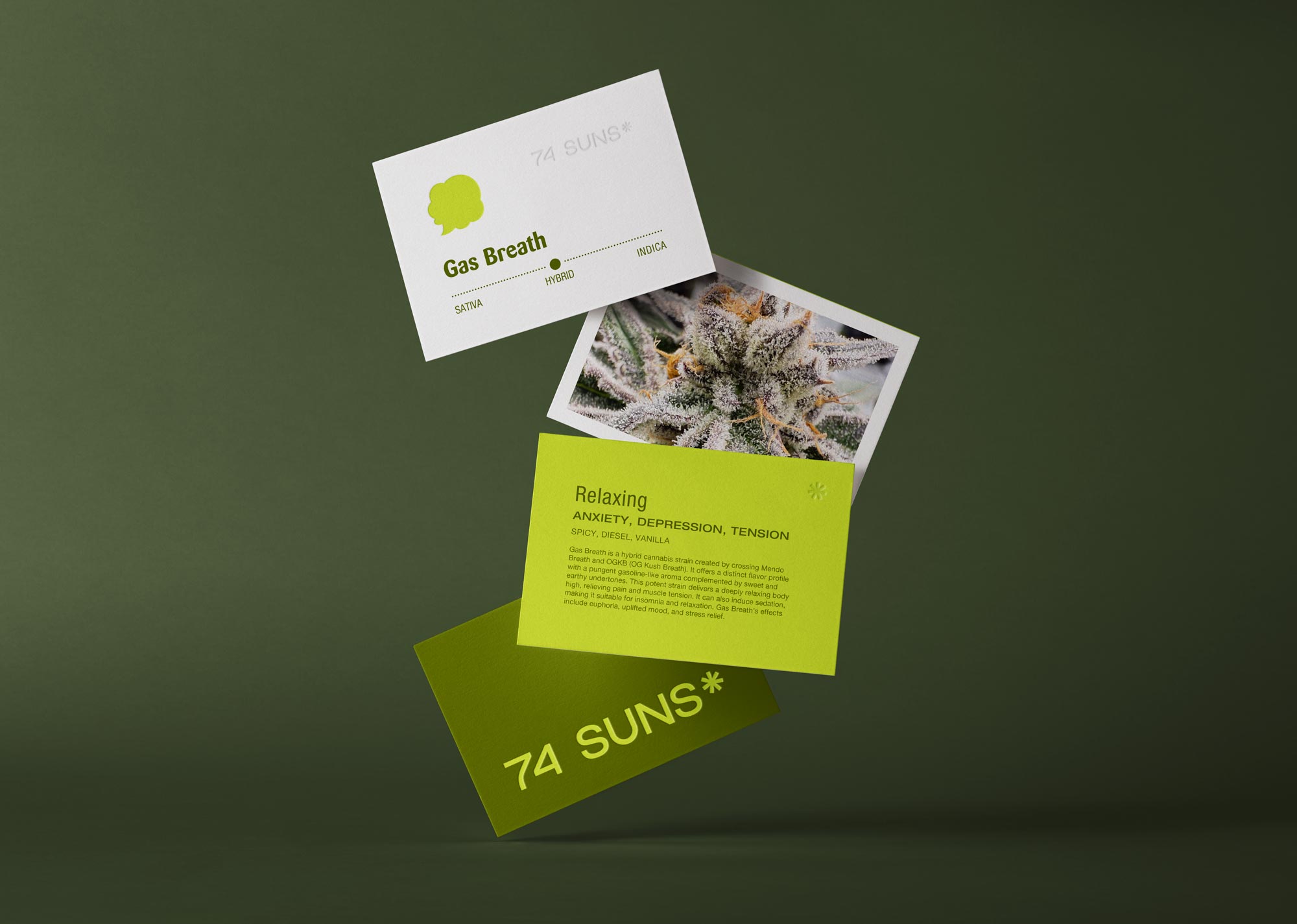 74 SUNS Branding Stationery Design