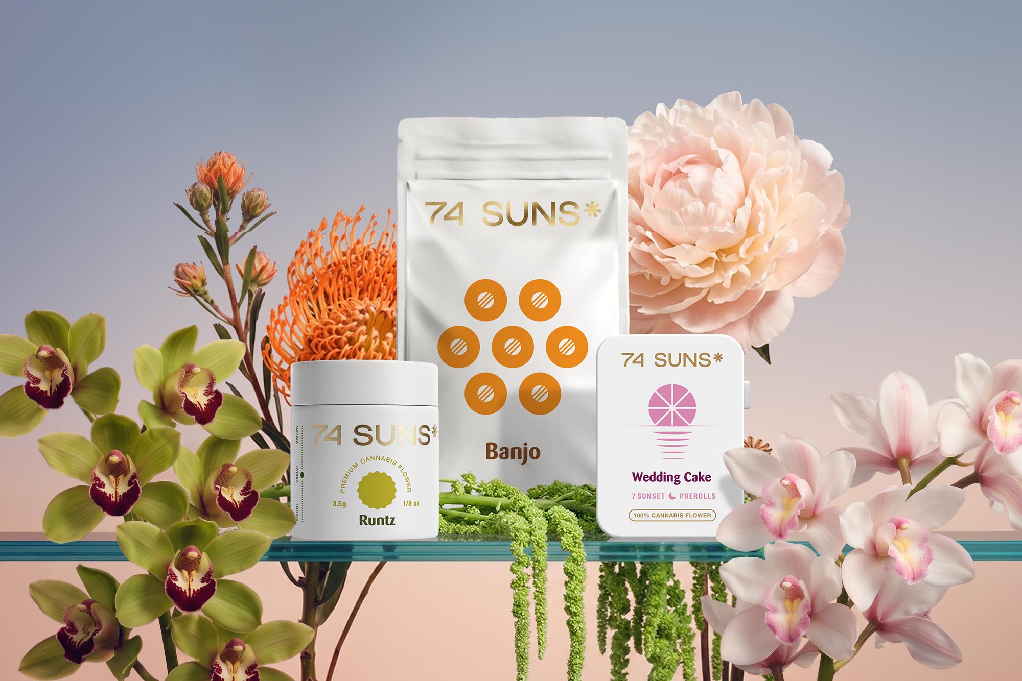 74 SUNS Cannabis Flower Product line Runtz Banjo Wedding Cake Package Design