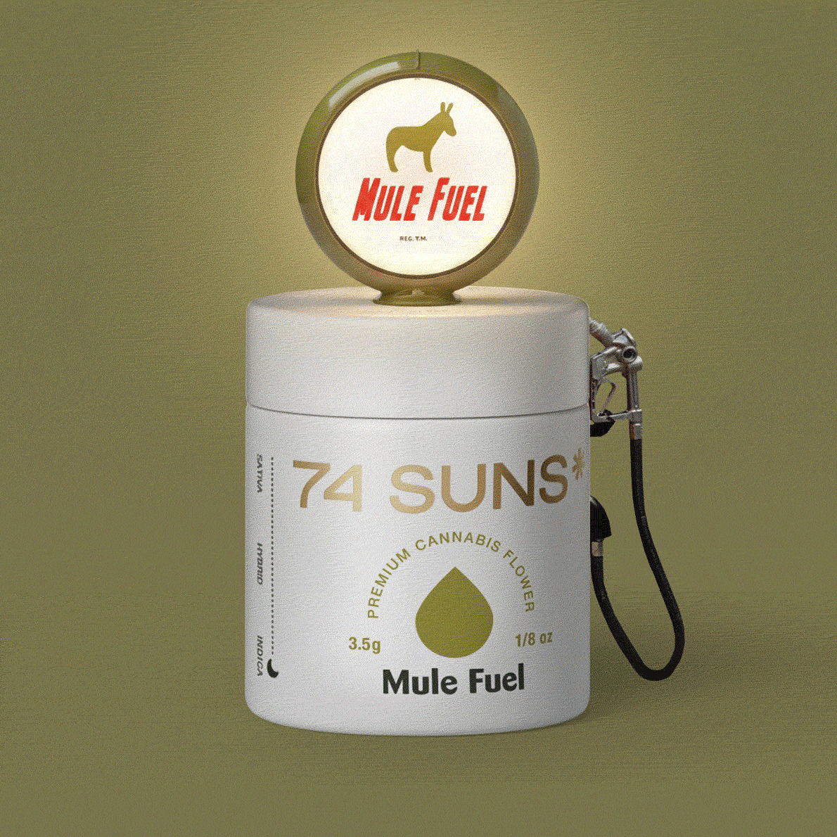 74 SUNS Cannabis Branding Social Media Marketing Post Designs